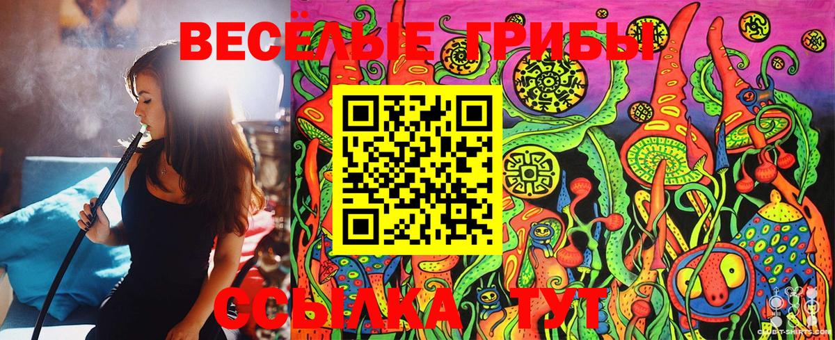 Псилоцибиновые грибы MAGIC MUSHROOMS  Псилоцибиновые грибы Psilocybe  Вход с VPN  Сосновый Бор 
